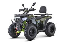 Квадроцикл FXMOTO (ФХмото) WASP 200 зелёный (машинокомплект)