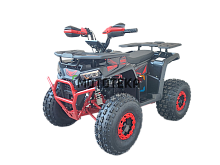 Квадроцикл деткий YACOTA (Якота) VEKTOR 125 чёрный/красный (машинокомплект)