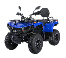 Квадрицикл Bizon (Бизон) YK250 LUX EFI синий с ПТС