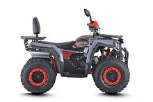 Квадроцикл FXMOTO (ФХмото) WASP 200 серый (машинокомплект)