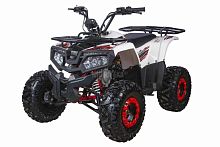 Квадроцикл детский YACOTA (Якота) FUSION 125 (машинокомплект)