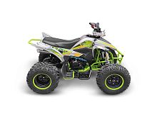 Квадроцикл Yacota (Якота) TYPHOON 250 серый (машинокомплект)