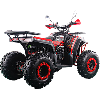 Квадроцикл Racer (Рейсер) FREELANDER PRO 200 XTS красный (машинокомплект)